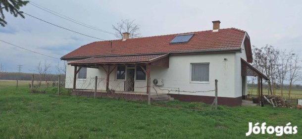 Polgár közelében 2,7 hektáros tanya 600 nm istállóval