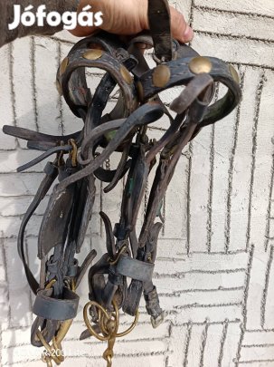 Póni fejző eladó.