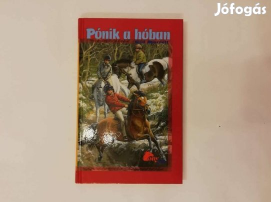 Pónik a hóban