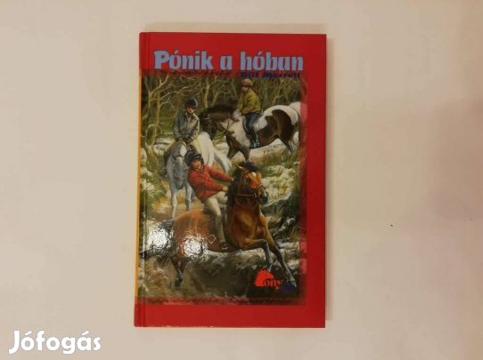 Pónik a hóban
