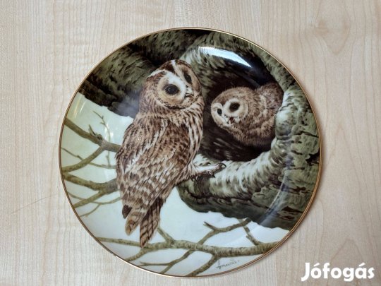 Porcelán falitányér, falidísz, bagoly, baglyok