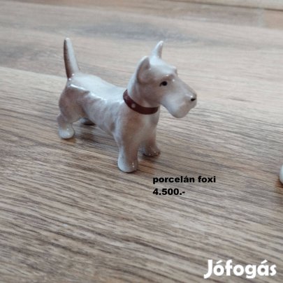 Porcelán foxi kutya