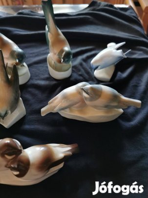 Porcelán madár gyűjtemény
