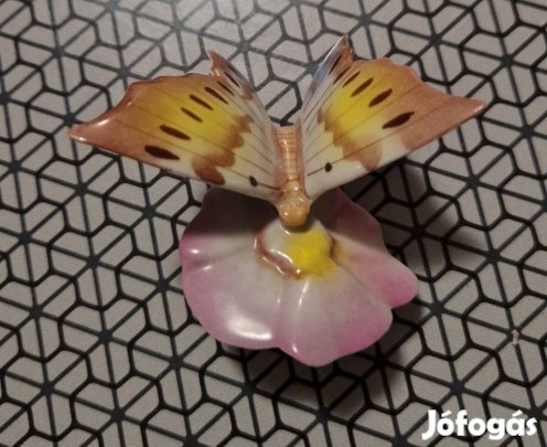 Porcelán pillangó Akció! 