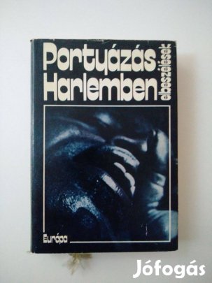 Portyázás Harlemben - elbeszélések