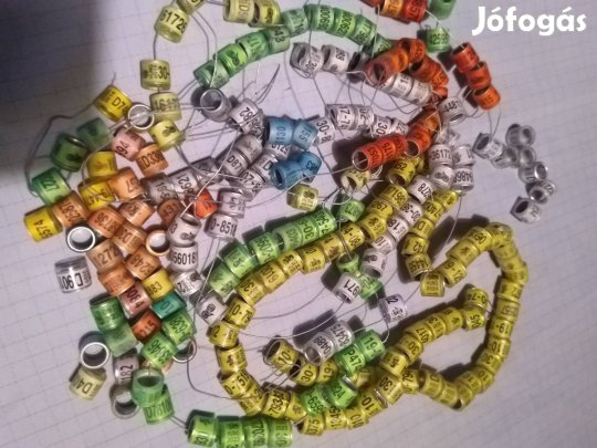 Posta Galambokra gyűrűk eladók ! Szállítás.