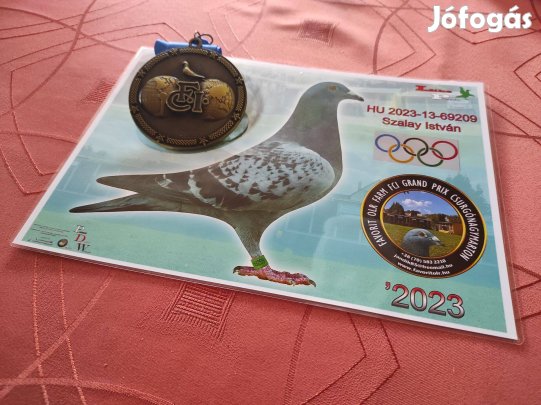 Postagalamb fiatalok eladók, előjegyezhetők