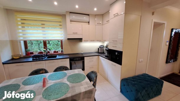 Praktiker közelében 3 szoba+ nappalis kiváló állapotú családi ház elad