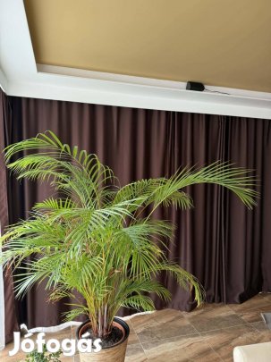 Prémium Blackout sötétítő függöny