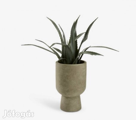 Prémium dekorációs szett - Solvi kaspó + Celius aloe vera műnövény