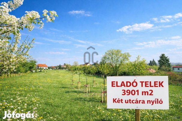 Prémium fejlesztési lehetőség  két utcafrontos, újra osztható telek e