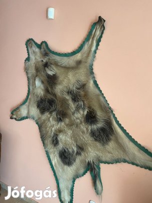 Preparált vaddisznó