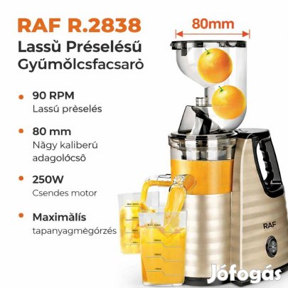 Professzionális Gyümölcsfacsaró Slow Juicer Lassú Préselésű (250W, 9