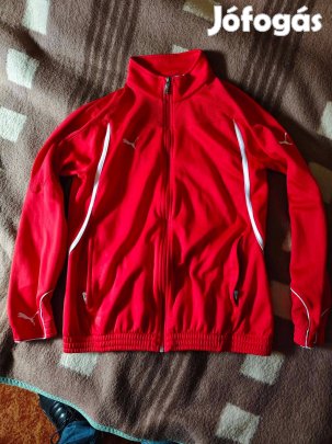 Puma szabadidő felső M méret eladó