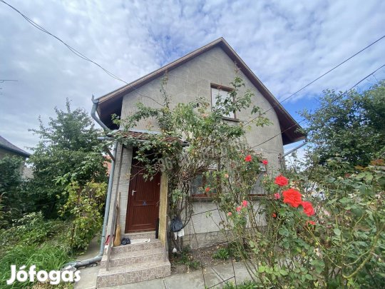 Püspökladányban többgenerációs családi ház üzlethelyiséggel el 38_beho