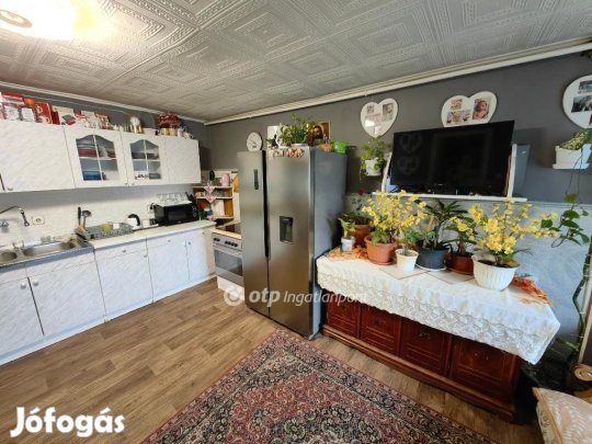 Püspökladányi 157 nm-es ház eladó