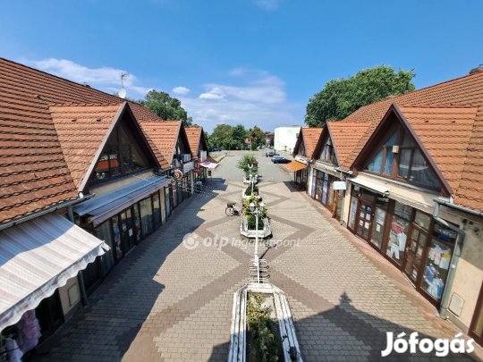 Püspökladányi 336 nm-es lakás eladó