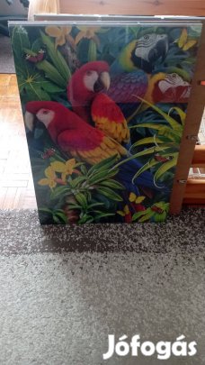 Puzzle képkeretek,1000 db-os hoz,több darab!50x70 cm