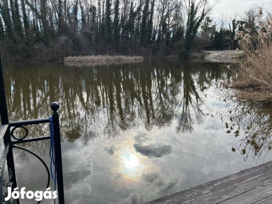 RSD kikötőhely kiadó