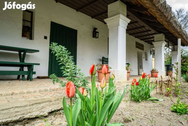 Rábapordány - autentikus nádfedeles parasztház eladó