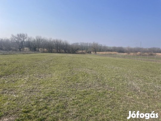 Ráckeresztúr, Központi utca, 4141 m2-es, telek