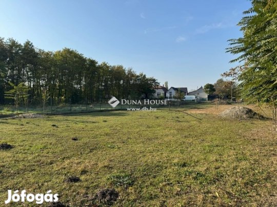 Ráckevei 1658 nm-es telek eladó