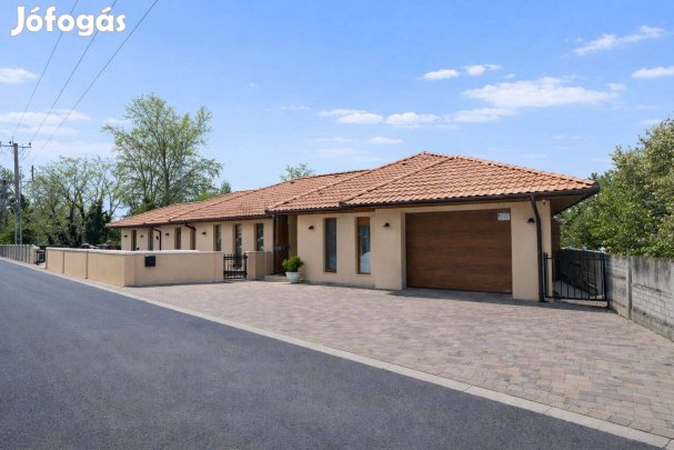 Ráckevén vízparti,újszerű állapotú,nappali+ 5 szobás családi ház eladó