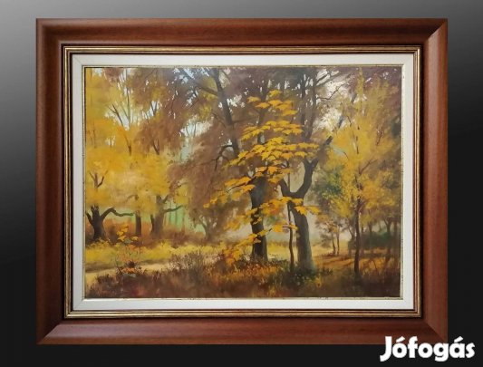 Rajczi Zoltán, festmény, tájkép, 60x80 cm, kerettel: 78x98 cm