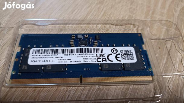 Ramaxel 12Gb DDR5 RAM memória