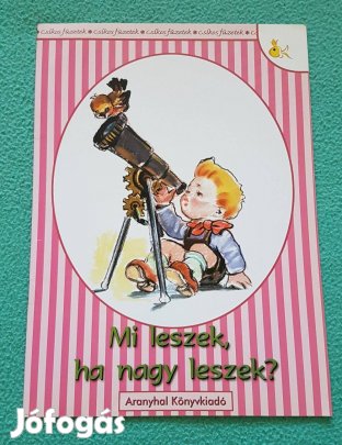 Rangáné Lovas Ágnes - Mi leszek, ha nagy leszek? (Csíkos füzetek)