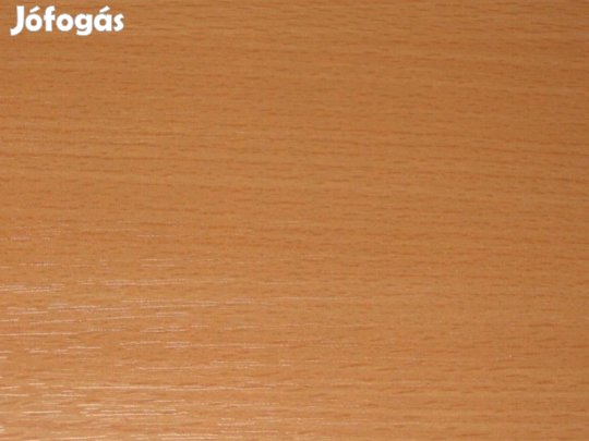 Rav - Virágtartó bükk