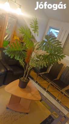 Realisztikus valósághű mű dísznövények