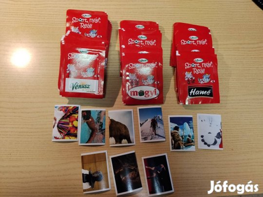 Reálos matricák matrica