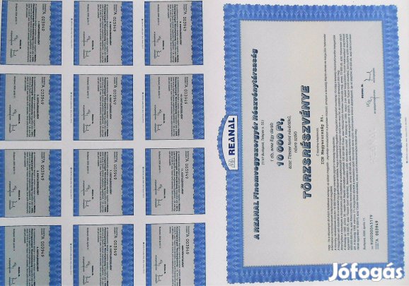 Reanal RT részvény 2000 osztalékszelvénnyel