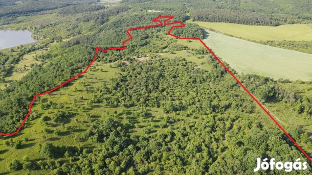 Recsk és Sirok között eladó 41,6 hektáros erdő és legelő