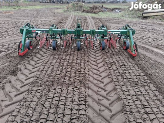 Regent 4 soros sorközművelő sorközművelőkkel magas vázas