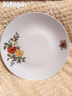 Régi Czechslovakia porcelán virágmintás tányér