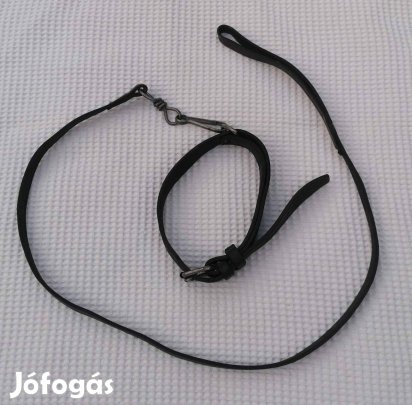 Régi Erős Valódi Bőr Kutya Nyakörv És Póráz Szett