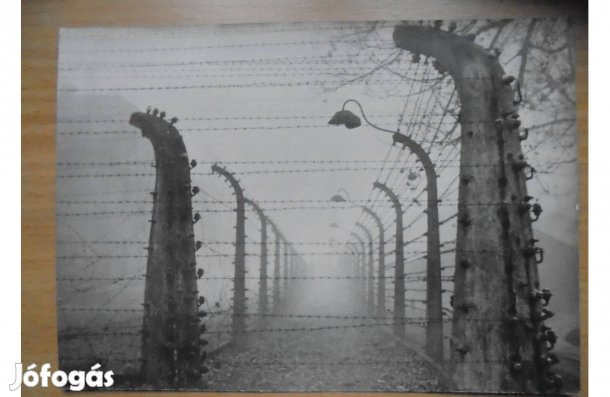Régi Képeslap A 60 AS Évekből /Auschwitz /