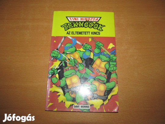 Régi Tini Nindzsa Teknőcök / Tmnt könyv: Az eltemetett kincs (1992)
