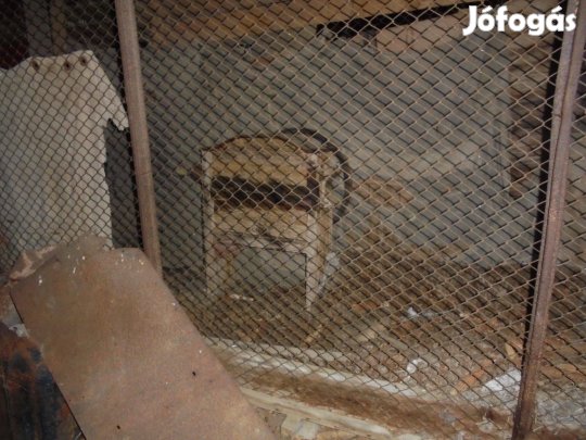 Régi - Antik Kukoricamorzsoló