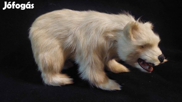 Régi élethű kidolgozású jegesmedve