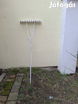 Régi fa gerebje elafó Miskolcon.