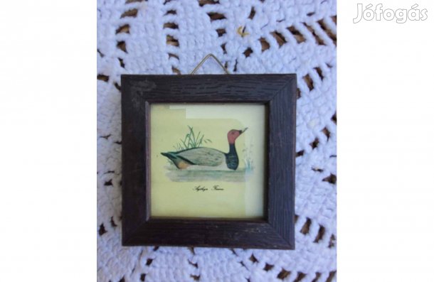 Régi mini vadkacsás kép fa keretben, üveglappal