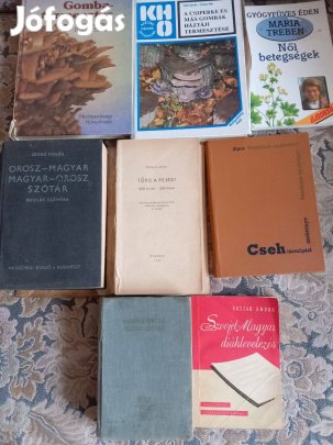 Régi szótárak, helyesírási szabályzat