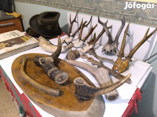 Régi vadász ereklyék