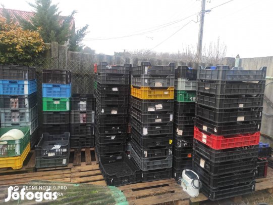 Rekesz 10-20as eladók!!