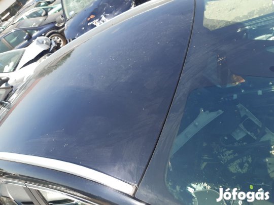 Renault Kadjar Tető Lemez