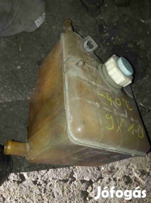 Renault Laguna I Kiegyenlítő Tartály