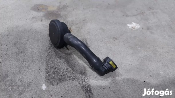 Renault MASTER Opel MOVANO 06- Kartergáz szelep szűrő lecsapató 9505